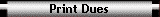 Print Dues
